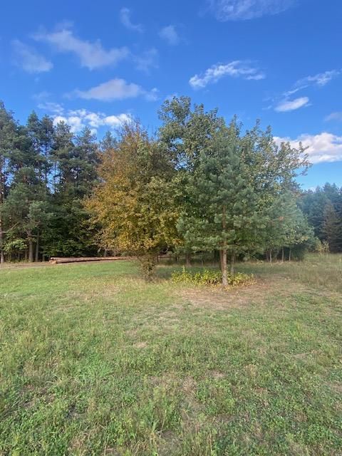 Działka rolno-budowlana Bukownica. Zdjęcie 4