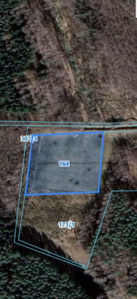 Działka rolna Sterławki Wielkie. Zdjęcie 2