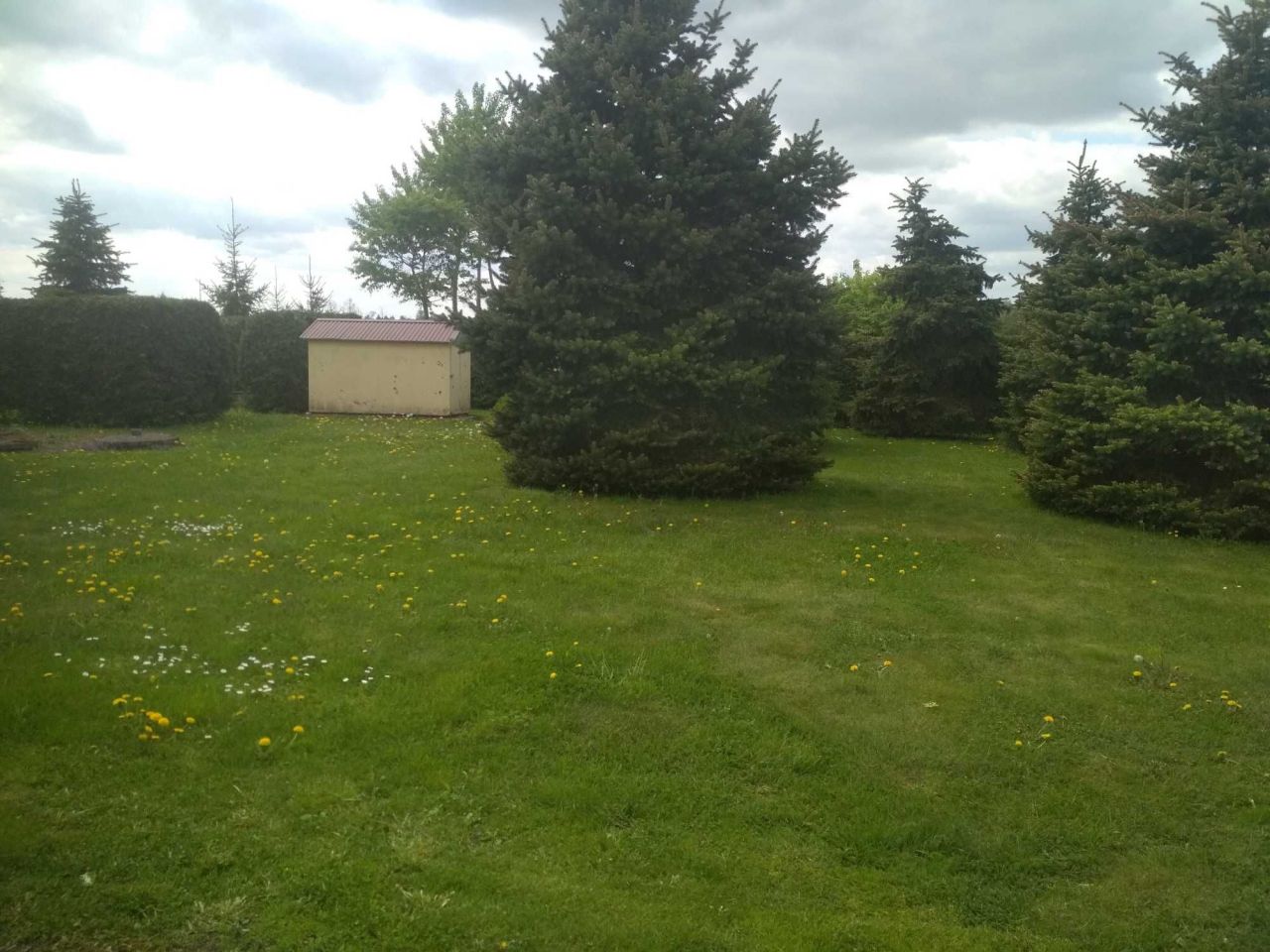 Lokal Terebiń. Zdjęcie 5