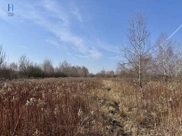 Działka inwestycyjna Nieborów, ul. Wschodnia. Zdjęcie 7