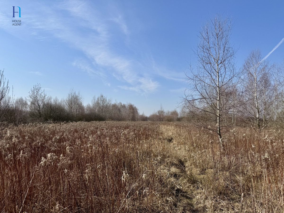 Działka inwestycyjna Nieborów, ul. Wschodnia. Zdjęcie 7