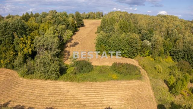 Działka rolna Lewniowa. Zdjęcie 4