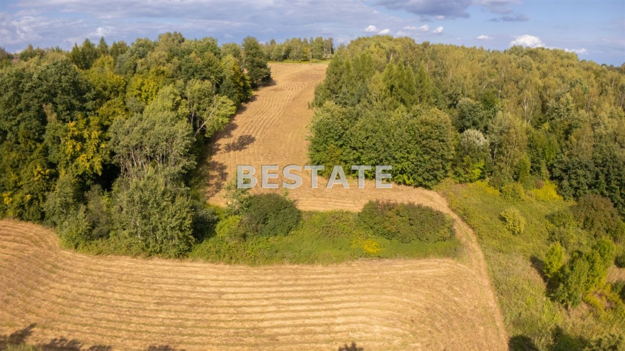 Działka rolna Lewniowa. Zdjęcie 4