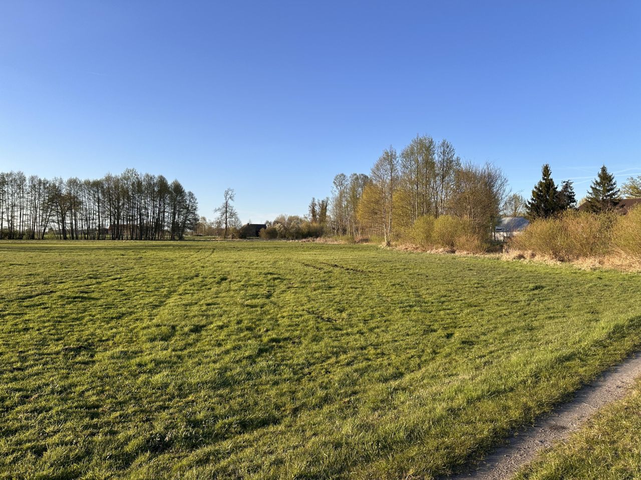 Działka budowlana Gościmiec. Zdjęcie 12