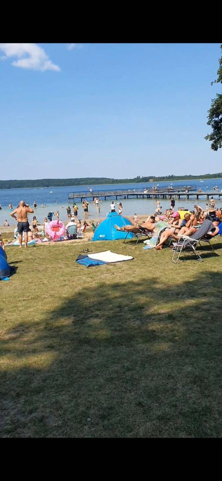 Działka budowlana Brajniki. Zdjęcie 4