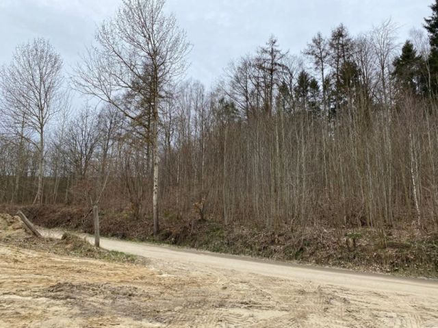 Działka siedliskowa Barłomino, ul. Nadrzeczna. Zdjęcie 1