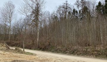 Działka siedliskowa Barłomino, ul. Nadrzeczna