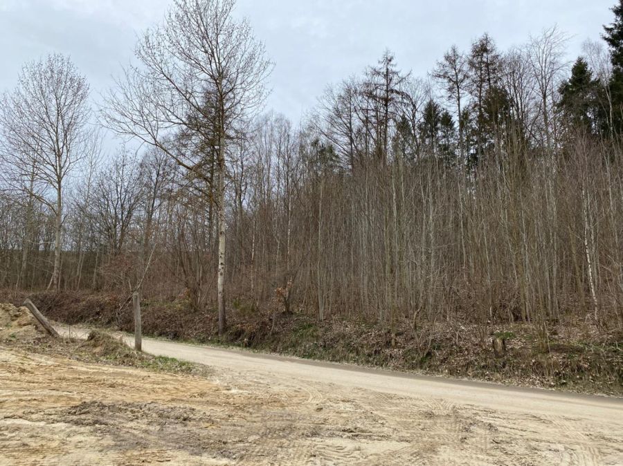 Działka siedliskowa Barłomino, ul. Nadrzeczna