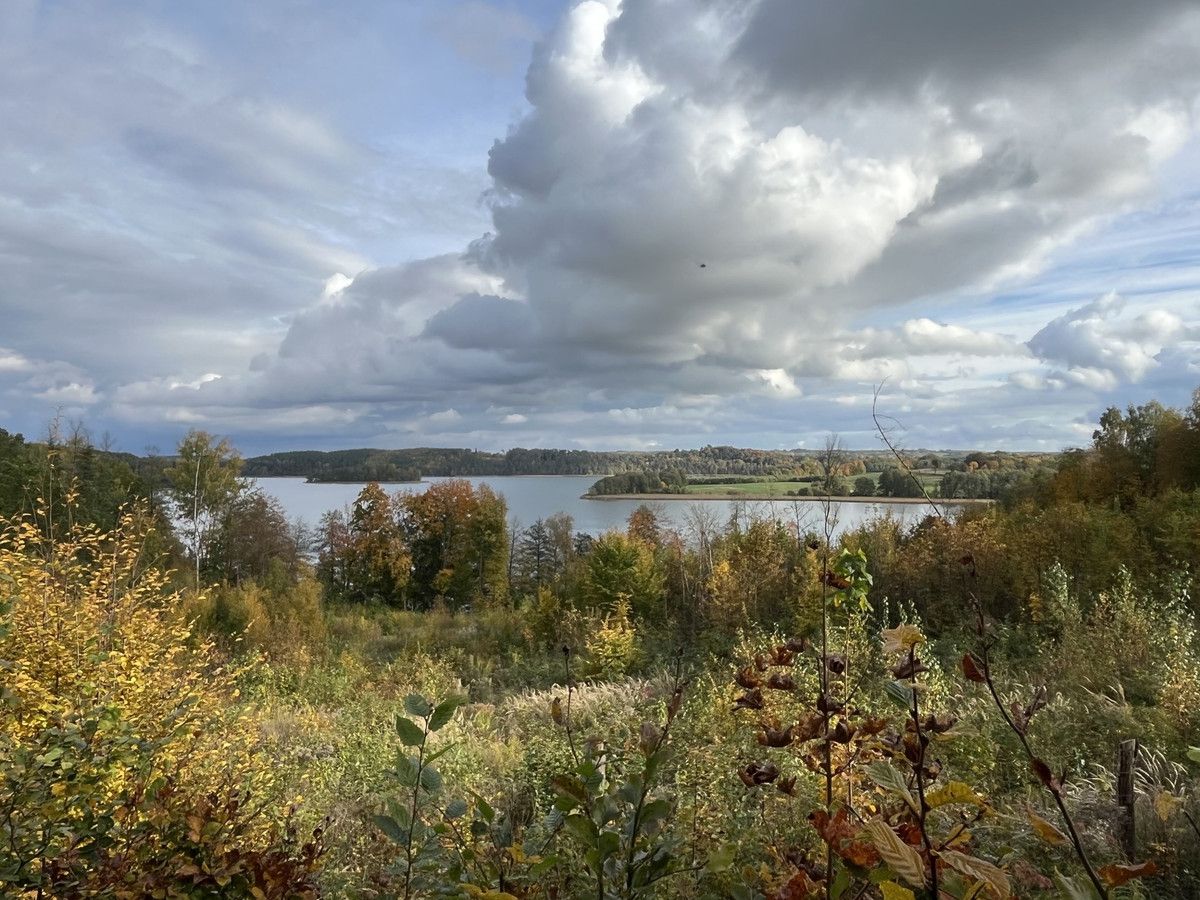 dom wolnostojący Szymanowo. Zdjęcie 7