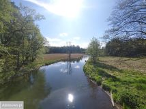 Działka leśna Sąpolno. Zdjęcie 4