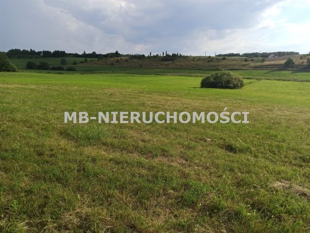 Działka rolna Różnowo. Zdjęcie 5