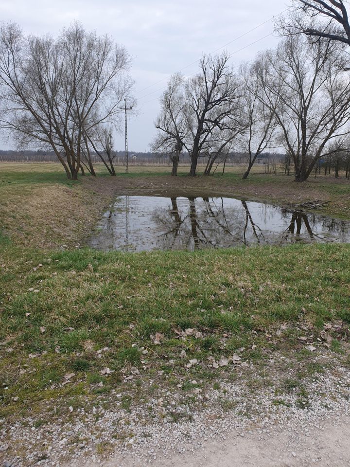 Działka rolno-budowlana Wiatrowiec. Zdjęcie 4