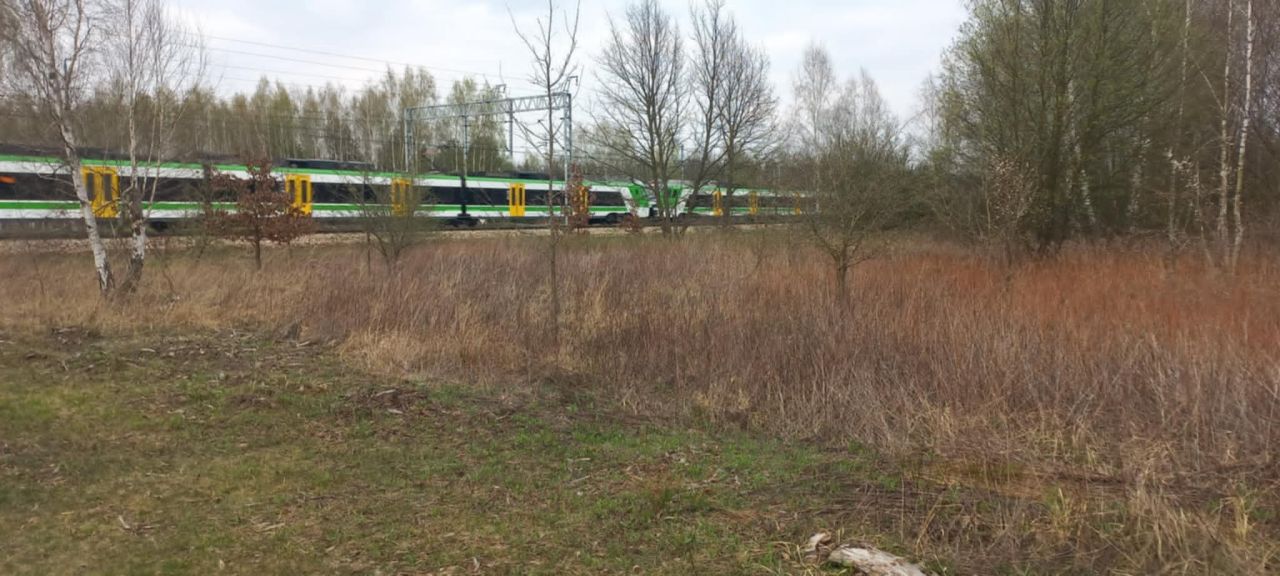 Działka rolna Skierniewice Rawka, ul. Bohaterów Westerplatte. Zdjęcie 2