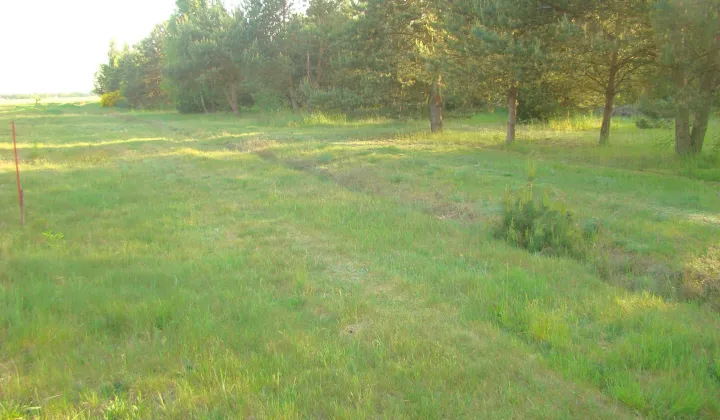 Działka budowlana Widzów