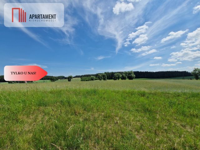 Działka rekreacyjna Skorzewo. Zdjęcie 8
