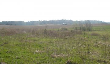 Działka budowlana Dąbrowa Chełmińska, ul. Świerkowa
