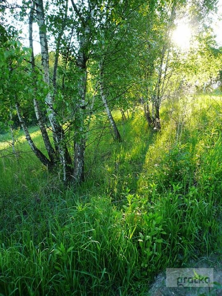 Działka rekreacyjna Łazy. Zdjęcie 3