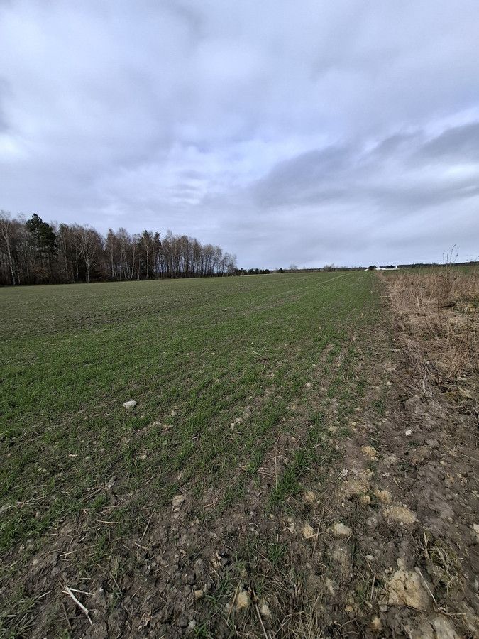 Działka inwestycyjna Charnowo. Zdjęcie 4