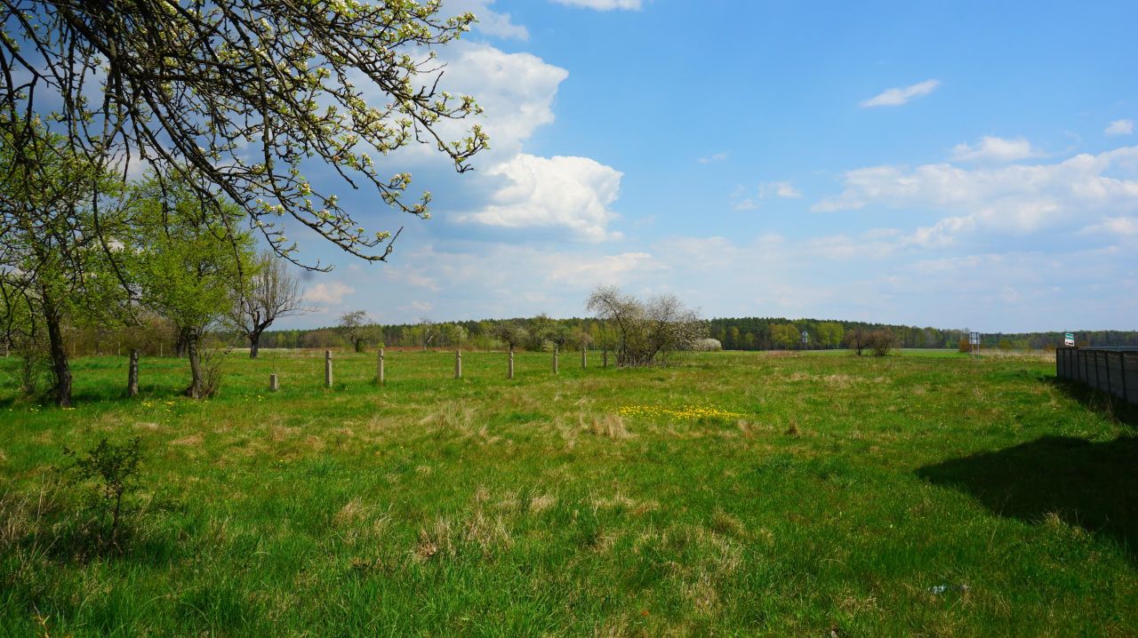 Działka budowlana Modrzew