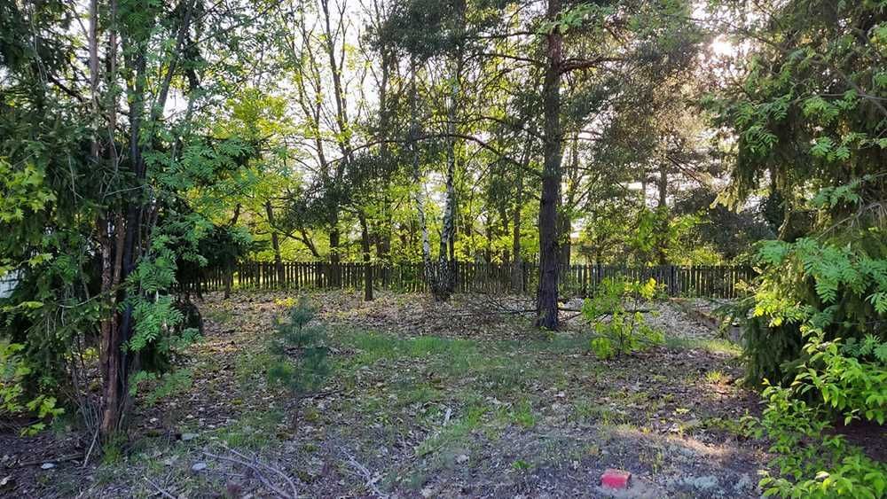 Działka Rogożek. Zdjęcie 2