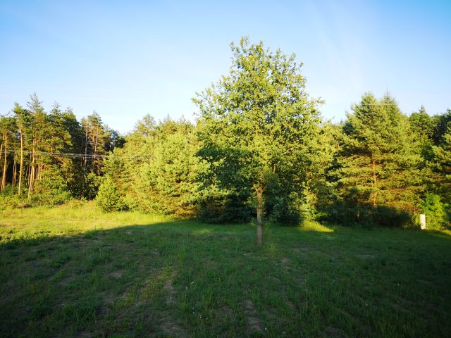 Działka rekreacyjna Wylazłów. Zdjęcie 1