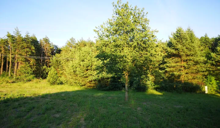 Działka rekreacyjna Wylazłów