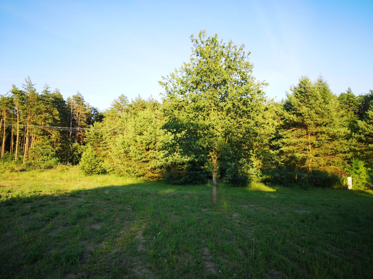 Działka rekreacyjna Wylazłów. Zdjęcie 1