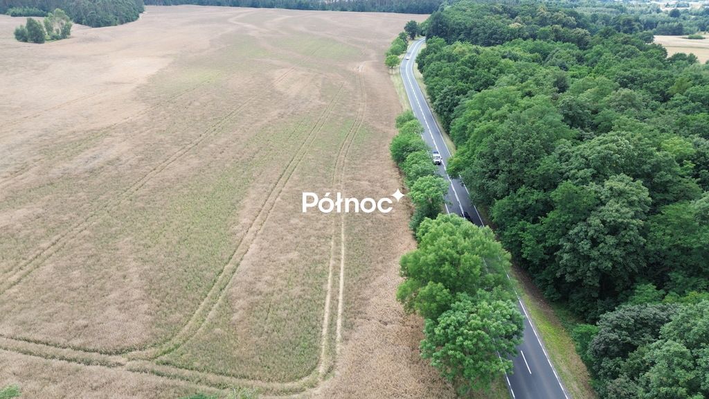 Działka inwestycyjna Dąbrowa Bolesławiecka. Zdjęcie 2
