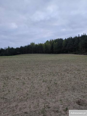 Działka rolna Graniczna Wieś, ul. Jarzębinowa. Zdjęcie 1