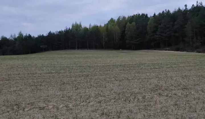 Działka rolna Graniczna Wieś, ul. Jarzębinowa