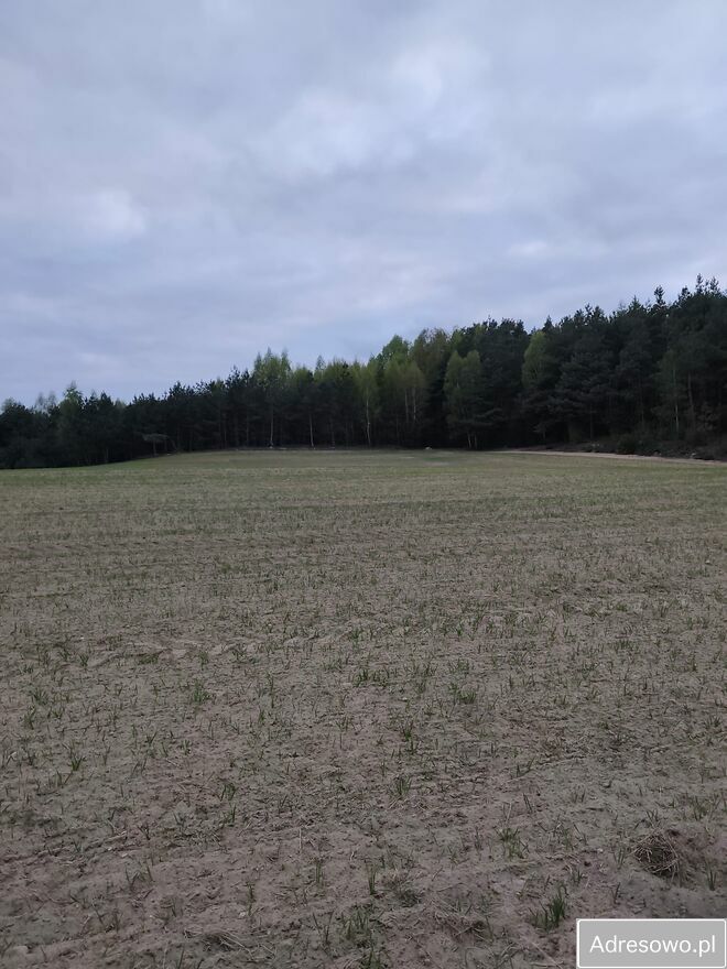 Działka rolna Graniczna Wieś, ul. Jarzębinowa