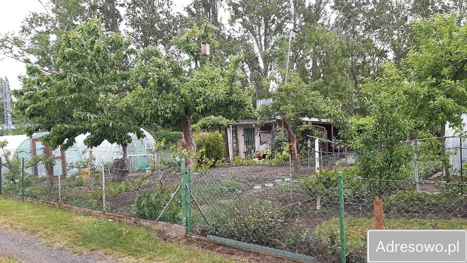 Działka rod Szczecin Pomorzany, ul. Białowieska. Zdjęcie 10