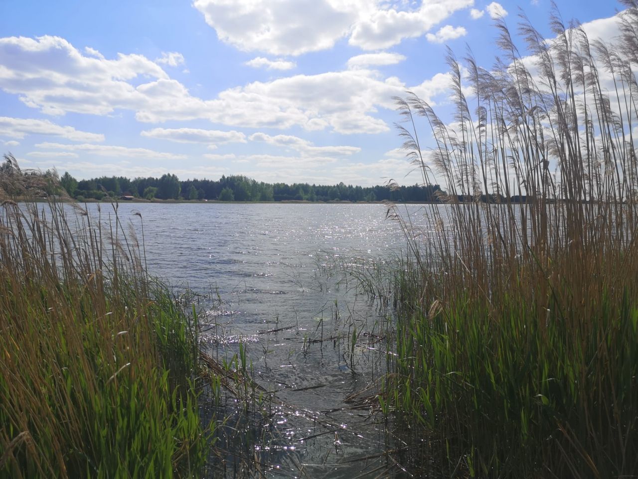 Działka budowlana Majdan Zahorodyński. Zdjęcie 7