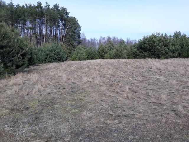 Działka budowlana Grabie Polskie. Zdjęcie 1