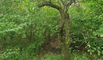 Działka rod Słupsk