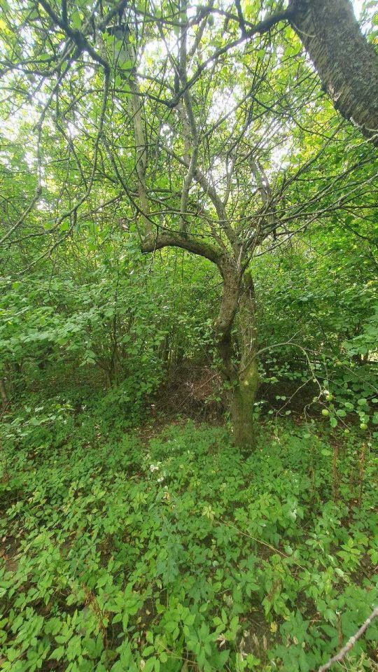 Działka rod Słupsk. Zdjęcie 2