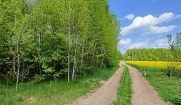 Działka rolna Skronina
