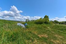 Działka rolna Zdory. Zdjęcie 4