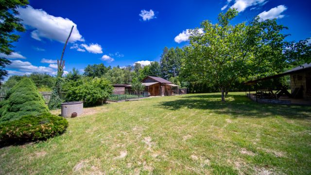 Działka siedliskowa Tarło. Zdjęcie 23