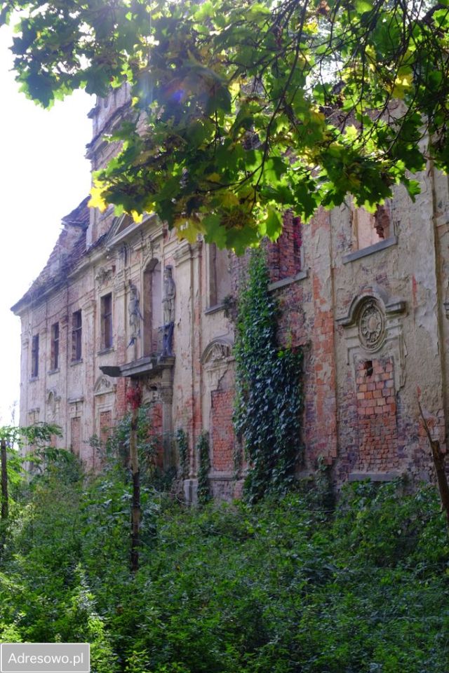 Nieruchomość komercyjna Parchów. Zdjęcie 6