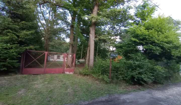 Działka budowlana Zgierz Krzywie, ul. Niecała