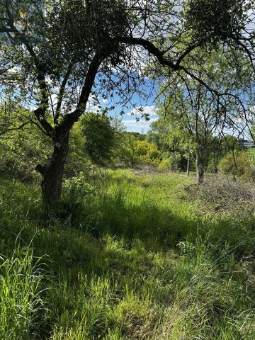 Działka inwestycyjna Janikowo, ul. Podgórna. Zdjęcie 3