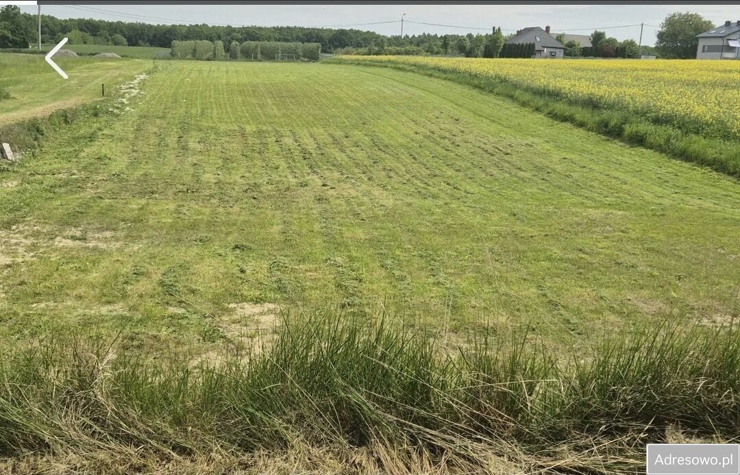 Działka budowlana Terpentyna. Zdjęcie 8