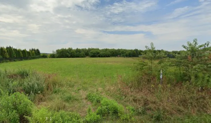 Działka rolno-budowlana Rosanów, ul. Bażantowa