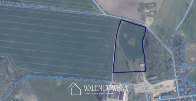 Działka rolna Grapice. Zdjęcie 3