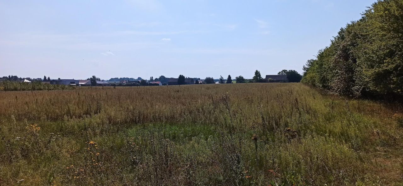 Działka budowlana Siemiatycze Annopol, ul. Stefana Żeromskiego. Zdjęcie 6