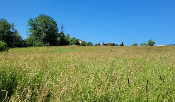 Działka budowlana Międzyrzecze Górne