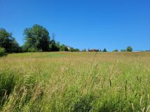 Działka budowlana Międzyrzecze Górne