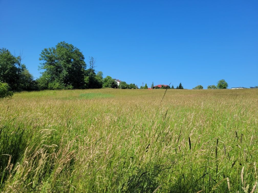Działka budowlana Międzyrzecze Górne