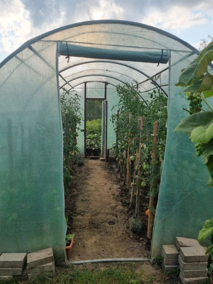 Działka rod Żagań. Zdjęcie 7